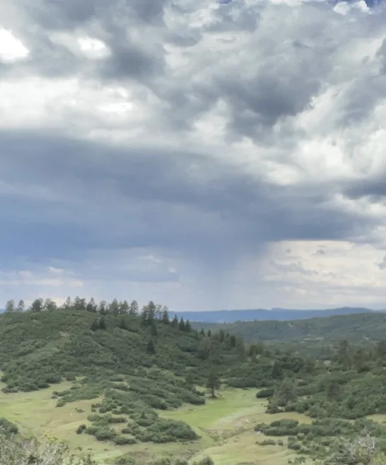 Rolling forested backcountry under storm clouds